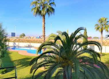 Apartments in Torrevieja (Costa Blanca), buy cheap - 52 900 [72125] 1