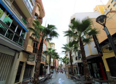 Apartments in Torrevieja (Costa Blanca), buy cheap - 63 900 [72100] 5