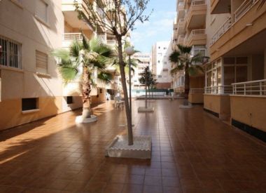 Apartments in Torrevieja (Costa Blanca), buy cheap - 103 000 [72084] 2