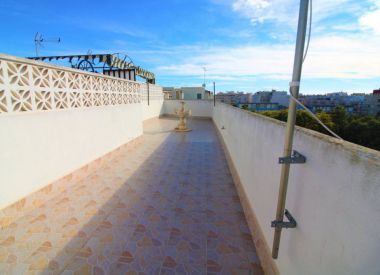 Apartments in Torrevieja (Costa Blanca), buy cheap - 69 900 [72079] 1