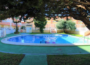 Apartments in Torrevieja (Costa Blanca), buy cheap - 59 900 [72074] 1