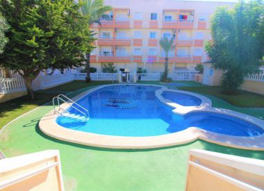 Apartments in Torrevieja (Costa Blanca), buy cheap - 59 900 [72074] 2