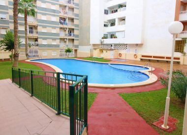 Apartments in Torrevieja (Costa Blanca), buy cheap - 69 900 [72042] 1