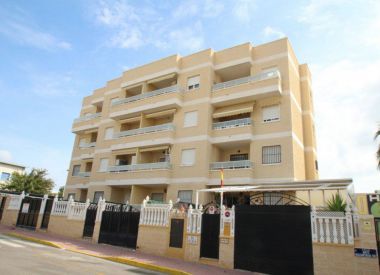 Apartments in Torrevieja (Costa Blanca), buy cheap - 96 000 [72010] 2