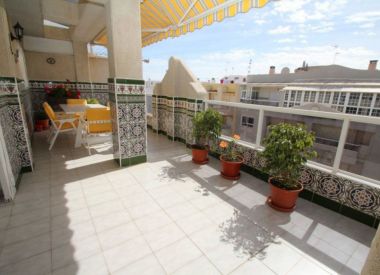 Apartments in Torrevieja (Costa Blanca), buy cheap - 220 000 [72005] 3