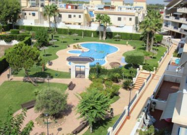 Apartments in Torrevieja (Costa Blanca), buy cheap - 163 000 [71998] 1