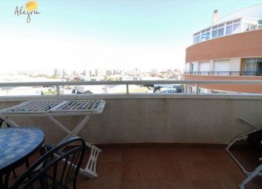 Apartments in Torrevieja (Costa Blanca), buy cheap - 74 900 [71993] 8