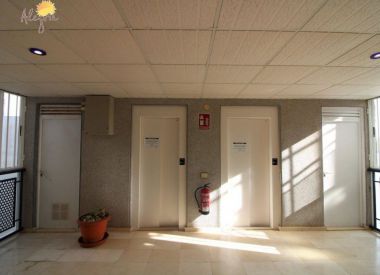 Apartments in Torrevieja (Costa Blanca), buy cheap - 74 900 [71990] 4