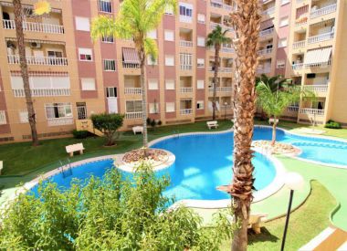 Apartments in Torrevieja ID:72822