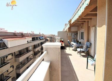 Apartments in Torrevieja ID:72818
