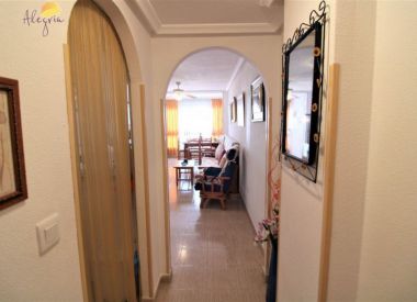 Apartments in Torrevieja (Costa Blanca), buy cheap - 61 500 [72790] 10