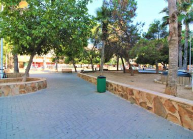 Office in Torrevieja (Costa Blanca), buy cheap - 69 900 [72789] 2