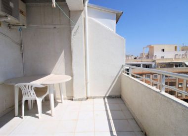 Apartments in Torrevieja (Costa Blanca), buy cheap - 73 000 [72780] 2