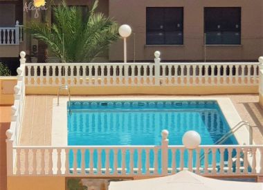 Apartments in Torrevieja (Costa Blanca), buy cheap - 59 900 [72781] 1