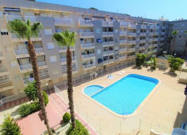 Apartments in Torrevieja (Costa Blanca), buy cheap - 68 000 [72777] 1