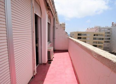 Apartments in Torrevieja (Costa Blanca), buy cheap - 72 000 [72772] 2