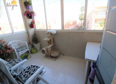 Apartments in Torrevieja (Costa Blanca), buy cheap - 77 900 [72760] 10