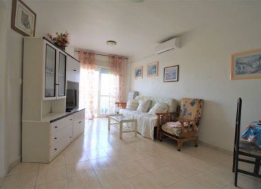 Apartments in Torrevieja (Costa Blanca), buy cheap - 53 900 [72759] 2