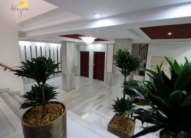 Apartments in Torrevieja (Costa Blanca), buy cheap - 67 900 [72745] 5