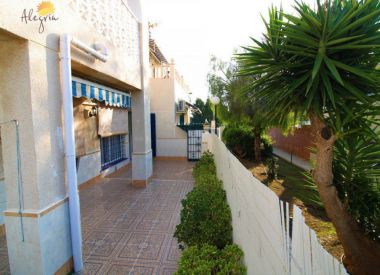 Townhouse in Torrevieja (Costa Blanca), buy cheap - 67 900 [72743] 8