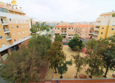 Apartments in Torrevieja (Costa Blanca), buy cheap - 84 900 [72737] 8