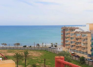 Apartments in Torrevieja ID:72734