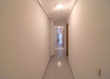 Apartments in Torrevieja (Costa Blanca), buy cheap - 58 900 [72727] 8