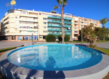 Apartments in Torrevieja ID:72720