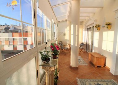Apartments in Torrevieja (Costa Blanca), buy cheap - 139 900 [72705] 1