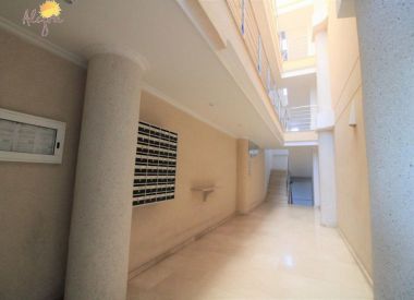 Apartments in Torrevieja (Costa Blanca), buy cheap - 139 900 [72705] 5
