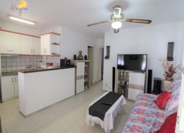 Apartments in Torrevieja (Costa Blanca), buy cheap - 74 900 [72702] 7