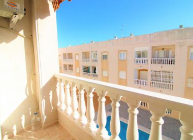 Apartments in Torrevieja (Costa Blanca), buy cheap - 64 900 [72693] 6