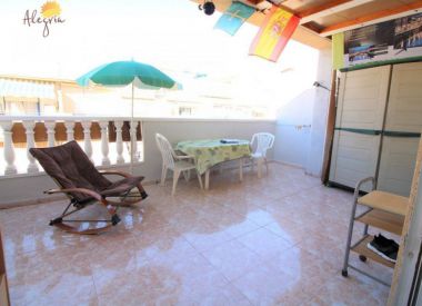 Apartments in Torrevieja (Costa Blanca), buy cheap - 67 900 [72687] 2