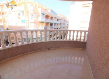 Apartments in Torrevieja (Costa Blanca), buy cheap - 129 900 [72684] 8