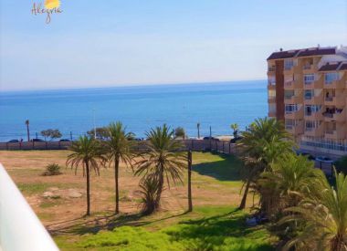 Apartments in Torrevieja (Costa Blanca), buy cheap - 79 900 [72678] 1
