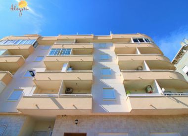 Apartments in Torrevieja (Costa Blanca), buy cheap - 79 900 [72678] 2