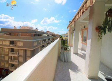Apartments in Torrevieja (Costa Blanca), buy cheap - 129 900 [72661] 2