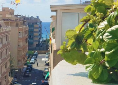 Apartments in Torrevieja (Costa Blanca), buy cheap - 129 900 [72661] 3