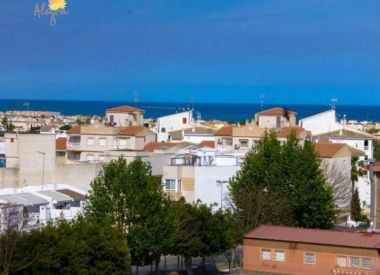 Apartments in Torrevieja (Costa Blanca), buy cheap - 66 900 [72660] 4