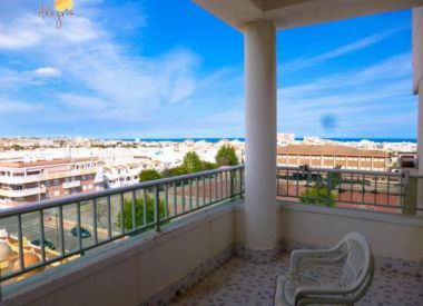 Apartments in Torrevieja (Costa Blanca), buy cheap - 66 900 [72660] 5