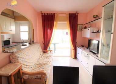 Apartments in Torrevieja (Costa Blanca), buy cheap - 67 900 [72657] 8