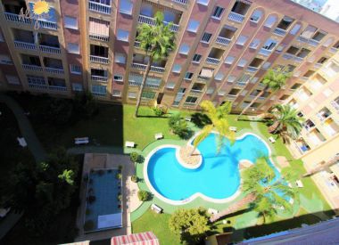 Apartments in Torrevieja (Costa Blanca), buy cheap - 54 900 [72656] 2