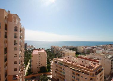 Apartments in Torrevieja ID:72653