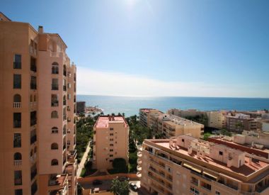 Apartments in Torrevieja (Costa Blanca), buy cheap - 200 000 [72653] 3