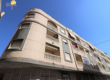 Apartments in Torrevieja (Costa Blanca), buy cheap - 62 900 [72651] 2