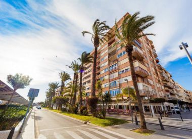 Apartments in Torrevieja ID:72647