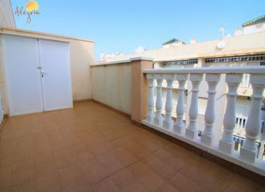 Apartments in Torrevieja (Costa Blanca), buy cheap - 69 900 [72635] 2
