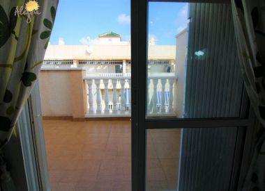 Apartments in Torrevieja (Costa Blanca), buy cheap - 69 900 [72635] 6