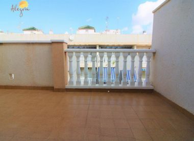 Apartments in Torrevieja (Costa Blanca), buy cheap - 69 900 [72635] 7