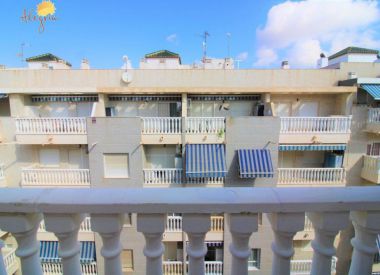 Apartments in Torrevieja (Costa Blanca), buy cheap - 69 900 [72635] 8